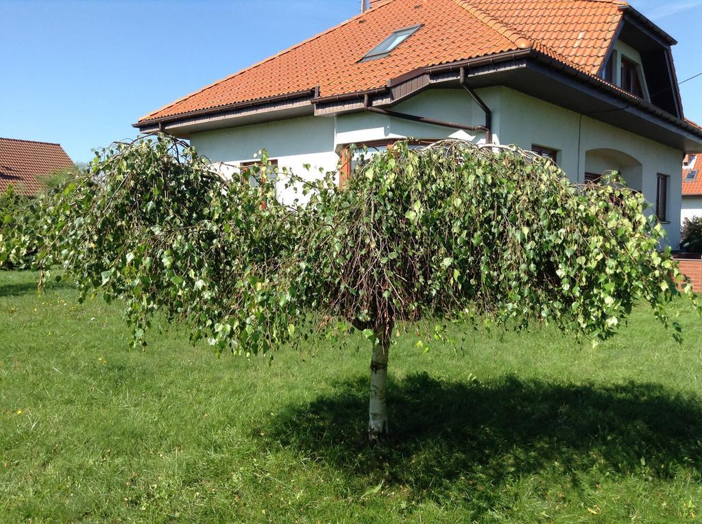 Landhaus Mit Garten Szczecin Exterior foto